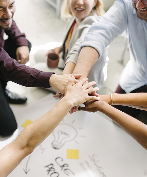 seguros-para-empresas-imq